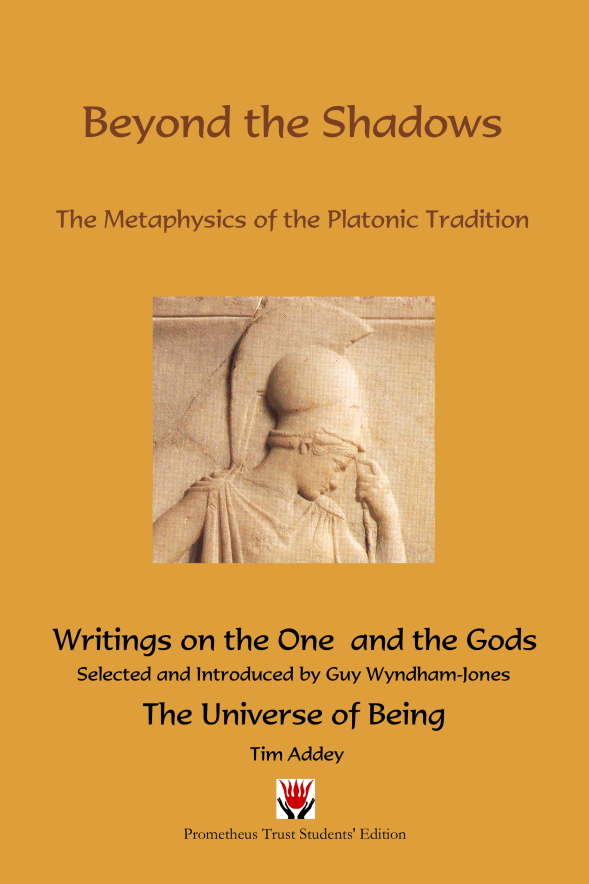 Beyond the Shadows: The Metaphysics of the Platonic Tradition