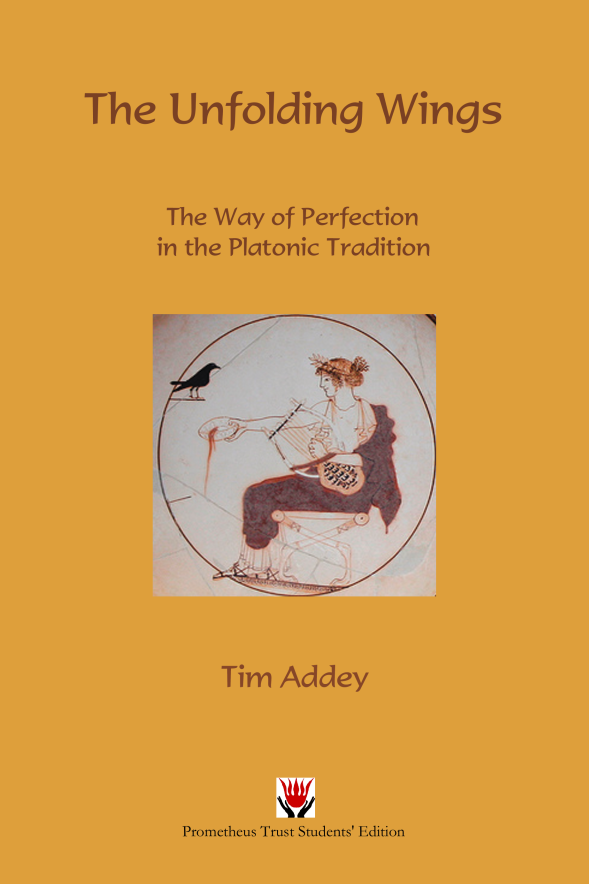 The Unfolding Wings: The Way of Perfection in the Platonic Tradition